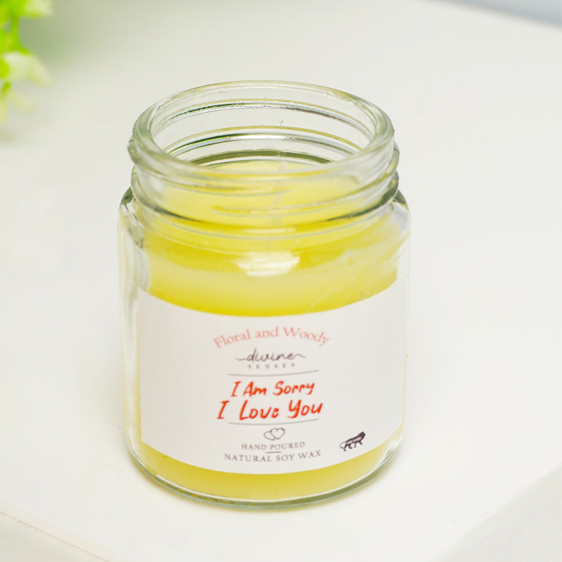 I Am Sorry, I Love You Scented Candle